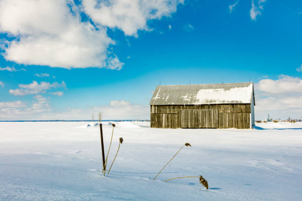 istock Barns of times gone past. 1073091172