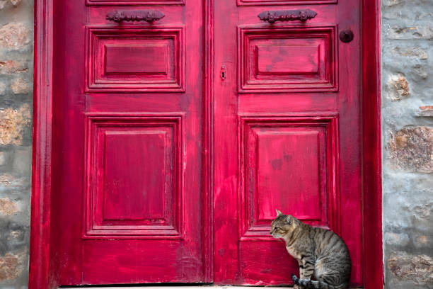 Cute Tabby Cat is Sitting Beside Red Wooden House Door stock photo
