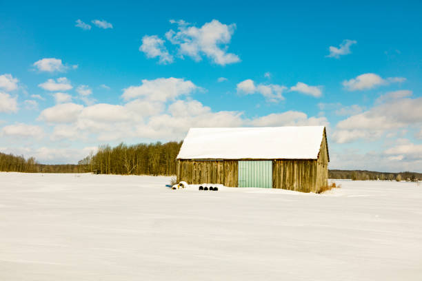 Farm and crops in rural Manitoba Canada