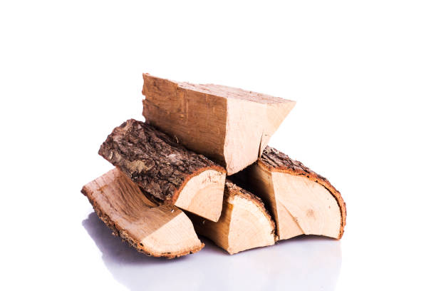 istock Cut logs of fire wood 1073105588