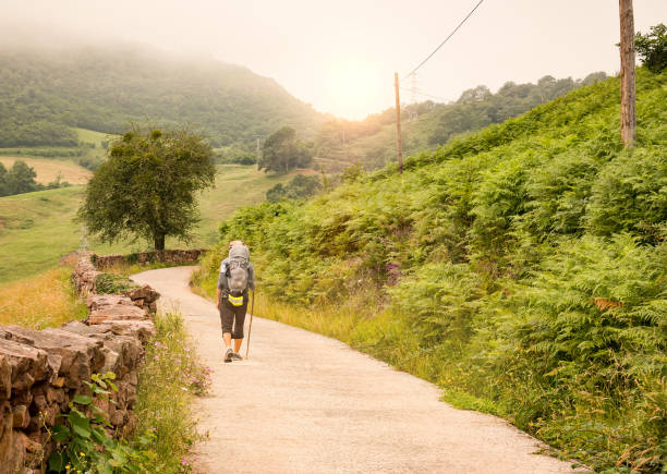 Lonely Pilgrim with backpack walking the Camino de Santiago in Spain, Way of St James Lonely Pilgrim with backpack walking the Camino de Santiago in Spain, Way of St James santiago de compostela stock pictures, royalty-free photos & images