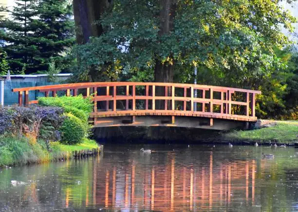 Wooden bridge over the river in park in the summer evening