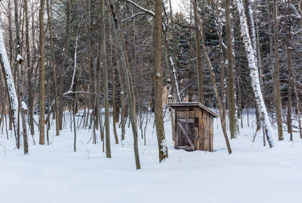 azúcar cabaña en un bosque boreal. - syrup maple tree cabin snow fotografías e imágenes de stock