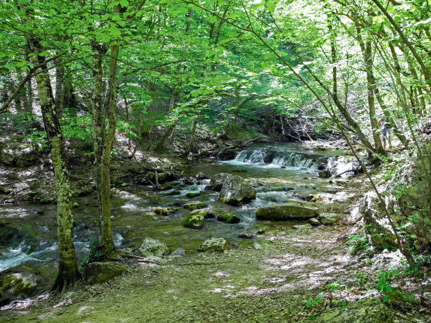 istock Cascading river with beautiful river thresholds near the forest trail in the green spring forest. Crimean mountains at spring 1073120954