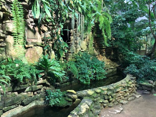 istock Plants,Tropical,Botany,Biology 1073123948