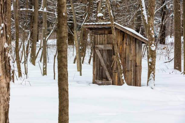 azúcar cabaña en un bosque boreal. - syrup maple tree cabin snow fotografías e imágenes de stock