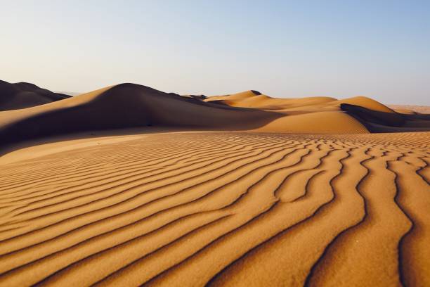 istock Sand dunes in desert landscape 1073130578