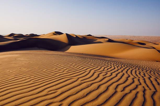 istock Sand dunes in desert landscape 1073130590