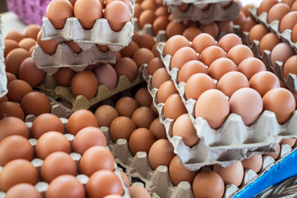 Fresh Eggs Fresh eggs being sold at farmers market farm produce storage stock pictures, royalty-free photos & images
