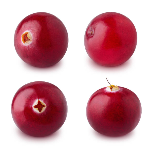 istock Set of cranberries isolated on a white. 1073146066