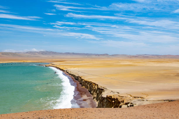 istock Paracas National Reserve 1073149358