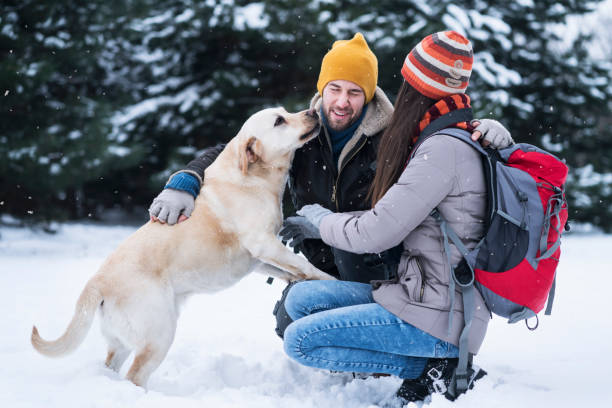 istock Young couple enjoying winter 1073158546