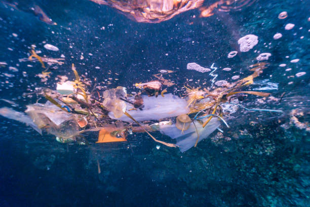 istock Environmental Issue underwater image of plastic pollution in the Ocean 1073171314