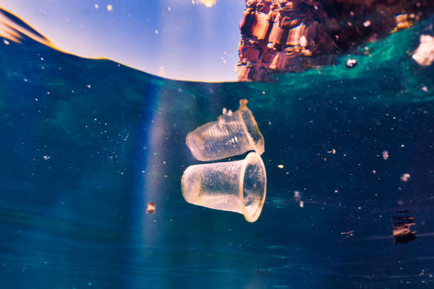 istock Environmental Issue underwater image of plastic pollution in the Ocean garbage patch 1073171328
