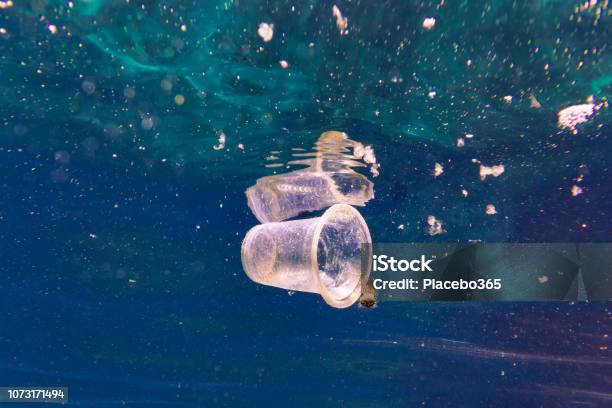 Environmental Issue Underwater Image Of Plastic Pollution In The Ocean Garbage Patch Stock Photo - Download Image Now