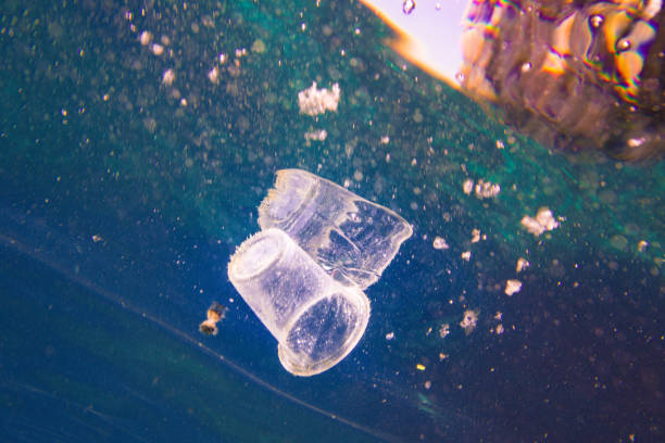 istock Environmental Issue underwater image of plastic pollution in the Ocean garbage patch 1073171966