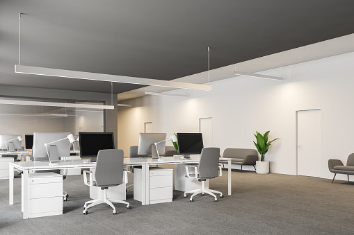 Modern grey and white office interior with rows of white computer desks and loft windows. Gray carpet with sofas and plants. Start up concept 3d rendering copy space