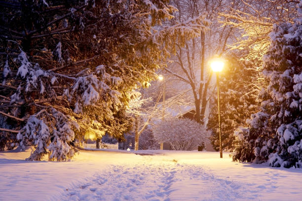 istock Scenic winter night nature background. 1073174094