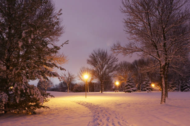 istock Scenic winter night nature background. 1073175118