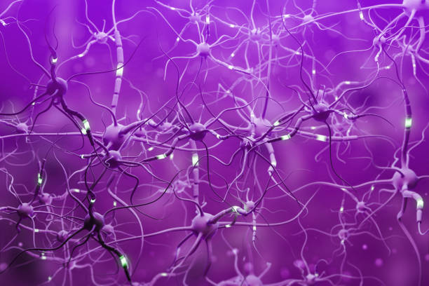 istock Purple neurons with glowing segments over purple 1073176520