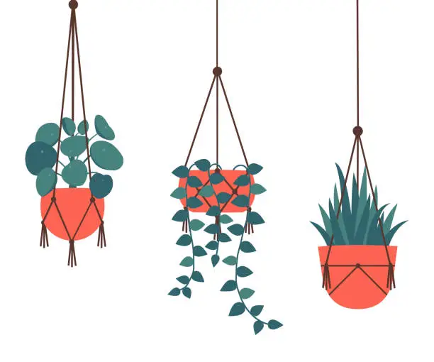 Vector illustration of Set of decorative hanging houseplants isolated on white background.