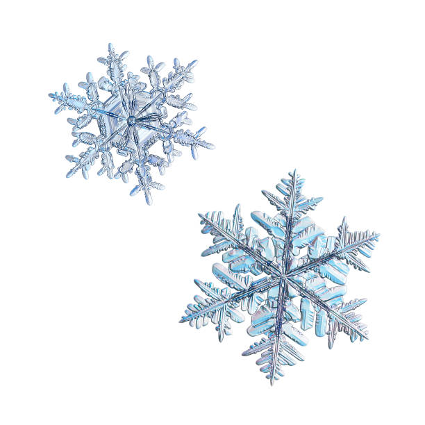 istock Two snowflakes isolated on white background 1073182188