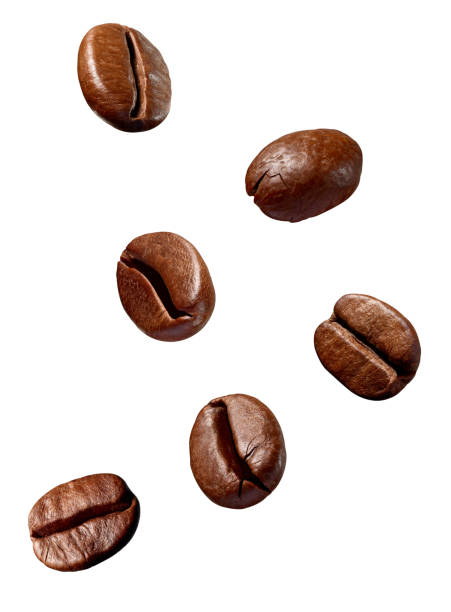 кофе в зернах коричневый жареный кофеин эспрессо семян - roasted macro freshness vertical стоковые фото и изображения