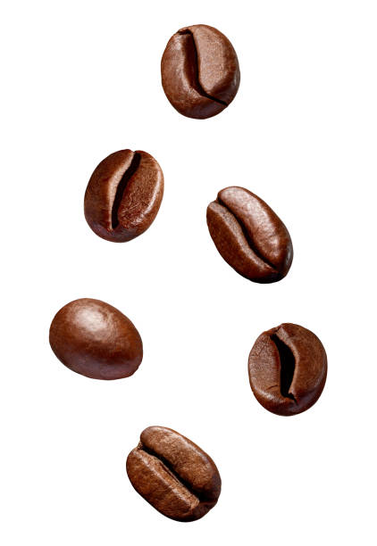 istock coffee bean brown roasted caffeine espresso seed 1073184468