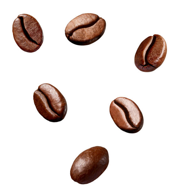 coffee bean brown roasted caffeine espresso seed collection of various coffee bean on white background coffee beans stock pictures, royalty-free photos & images