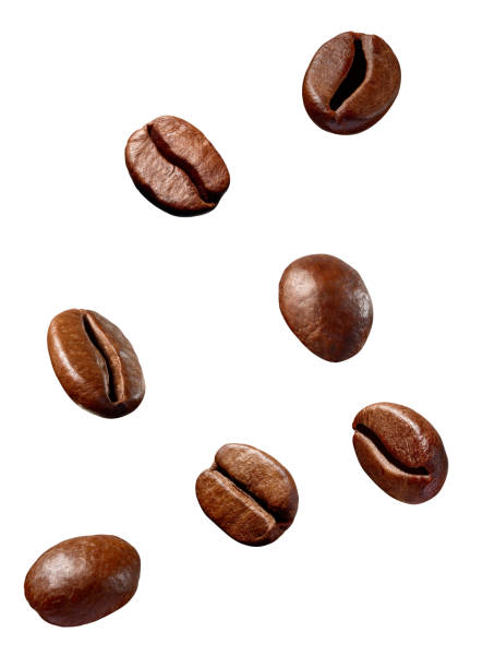 istock coffee bean brown roasted caffeine espresso seed 1073185924