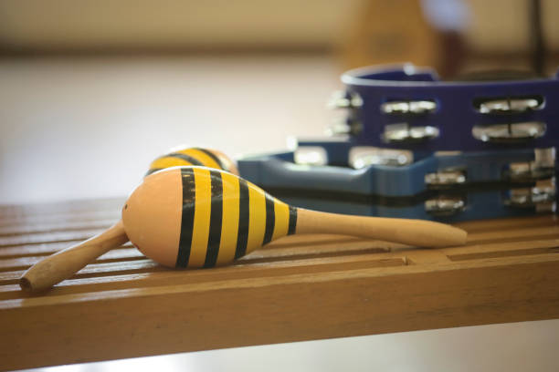 istock maracas and tambourines 1073192894