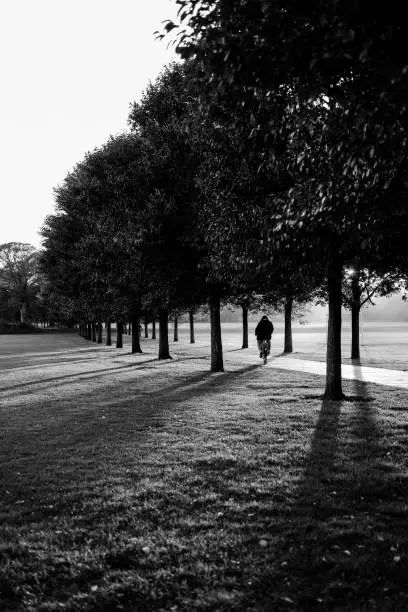 Lone cyclist on her way home as the sun in setting in Cardiff Bute Park