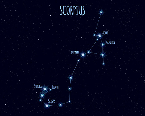 Scorpius Constellation Vector Illustration With The Names Of Basic scorpius-constellation-vector-illustration-with-the-names-of-basic