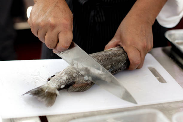istock Gutting and cleaning fresh fish in kitchen sink, preparing fish 1073208304