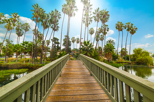 Small wooden bridge in Echo Park lake in Los Angeles. Southern California, USA