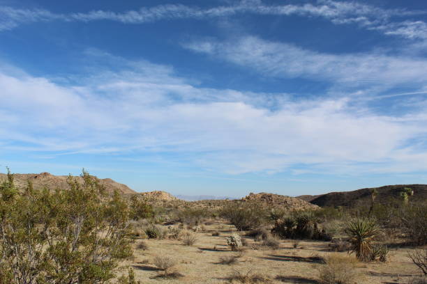 istock SPLIT ROCK OUTLAND - JOSHUA TREE NATIONAL PARK - SPRT - 102918 1073209666
