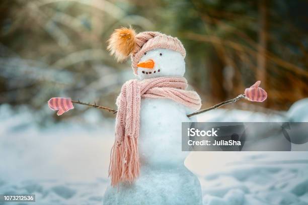 Funny Snowman In A Park Stock Photo - Download Image Now - Snowman, Carrot, Christmas