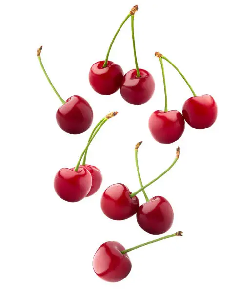Photo of Falling cherry, clipping path, isolated on white background, full depth of field