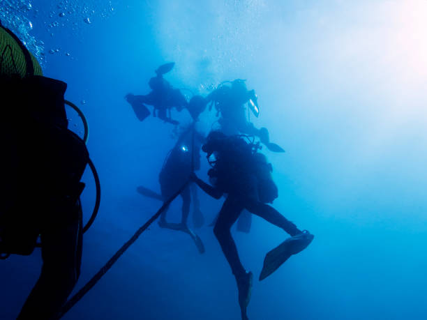 istock divers making a safety stop near the surface 1073221116