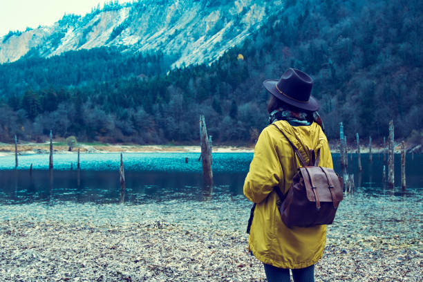 istock Traveler Looks at Landscape 1073229238
