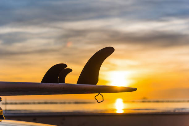 Close up of surfboard's fins at sunset