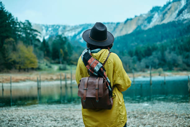 istock Traveler Looks at Landscape 1073229430