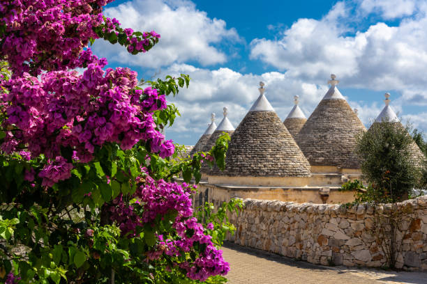 Trulli houses in the Puglia region of Italy and pink bougainvillea flowers Traditional conical huts called trulli in the Puglia region of Italy, a pretty stone wall and sime blossomed pink bougainvillea flowers on a beautiful summer day with blue skies trulli house stock pictures, royalty-free photos & images