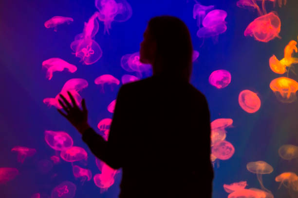 istock Woman looking at jellyfish in aquarium 1073238106