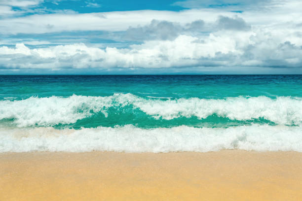 istock Empty sea and beach background with copy space, Vacation holidays concept 1073238464
