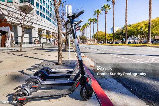 Bird Electric Scooters Stock Photo - Download Image Now - Bird, Motor Scooter, Electric Push Scooter