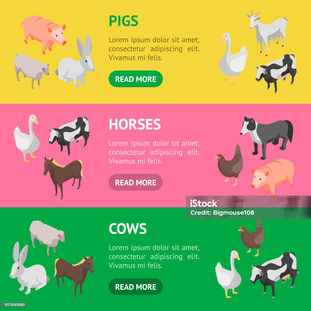 Farm Animals 3d Banner Horizontal Set Isometric View Vector Stock  Illustration - Download Image Now - iStock
