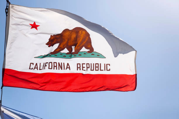 istock California Republic Flag 1073264322