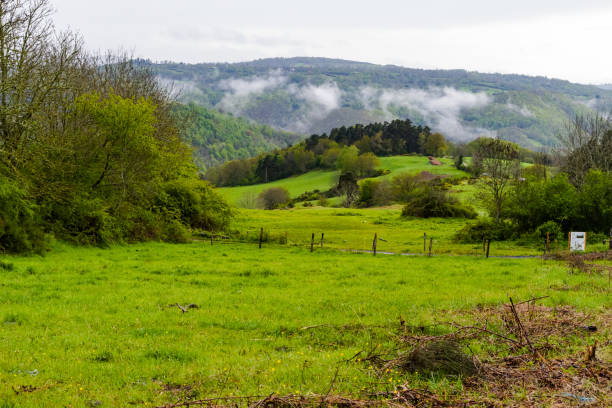 istock Cantal scenery in Auvergne 1073267456