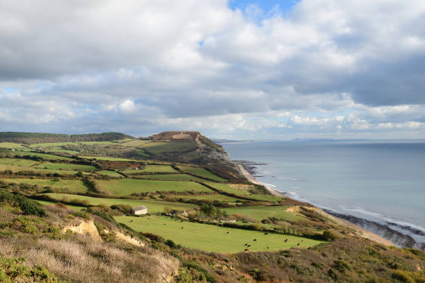 istock Golden Cap mountain in Dorset 1073267624